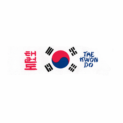 KOREAN FLAG TAEKWONDO HEAD BAND